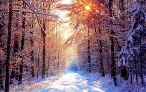 Download high resolution winter scene wallpaper HD