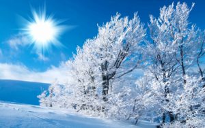 Top high resolution winter scene wallpaper 4k Download