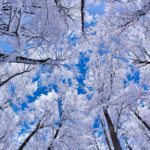 Top high resolution winter wallpaper Download