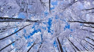 Top high resolution winter wallpaper Download