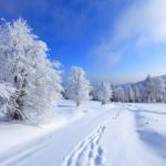 Top high resolution winter wallpaper HD Download