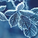 Top high resolution winter wallpaper 4k Download