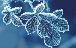 Top high resolution winter wallpaper 4k Download