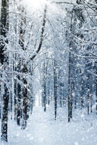 Top images of winter wallpaper 4k Download