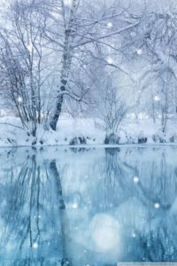 Top images of winter wallpaper HD Download