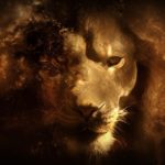 Top lion hd wallpapers 1366x768 free Download