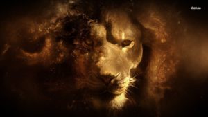 Top lion hd wallpapers 1366x768 free Download