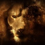 Download lion hd wallpapers 1366x768 HD