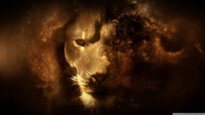 Download lion hd wallpapers 1366x768 HD