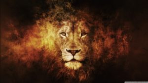 Download lion hd wallpapers 1366x768 HD