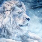 Top lion hd wallpapers 1366x768 4k Download