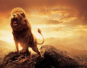 Top lion hd wallpapers 1366x768 HD Download