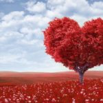 Top love nice wallpapers 4k Download