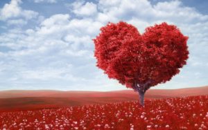 Top love nice wallpapers 4k Download