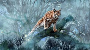 Top lynx wallpaper 4k Download