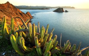 Top mexico hd wallpaper Download