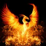 Top mythical phoenix wallpaper 4k Download