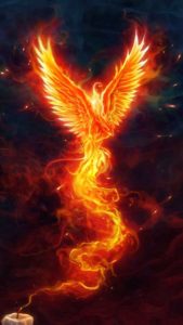 Top mythical phoenix wallpaper free Download