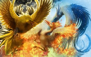 Top mythical phoenix wallpaper HD Download