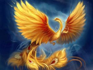 Top mythical phoenix wallpaper Download