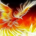 Top mythical phoenix wallpaper Download