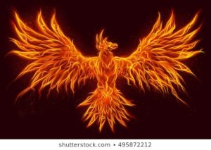 Download mythical phoenix wallpaper HD