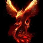 Top mythical phoenix wallpaper HD Download