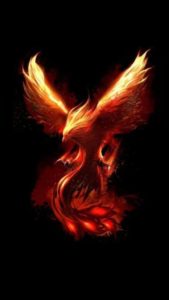 Top mythical phoenix wallpaper HD Download