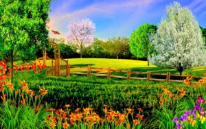 Top nacher background hd download HD Download