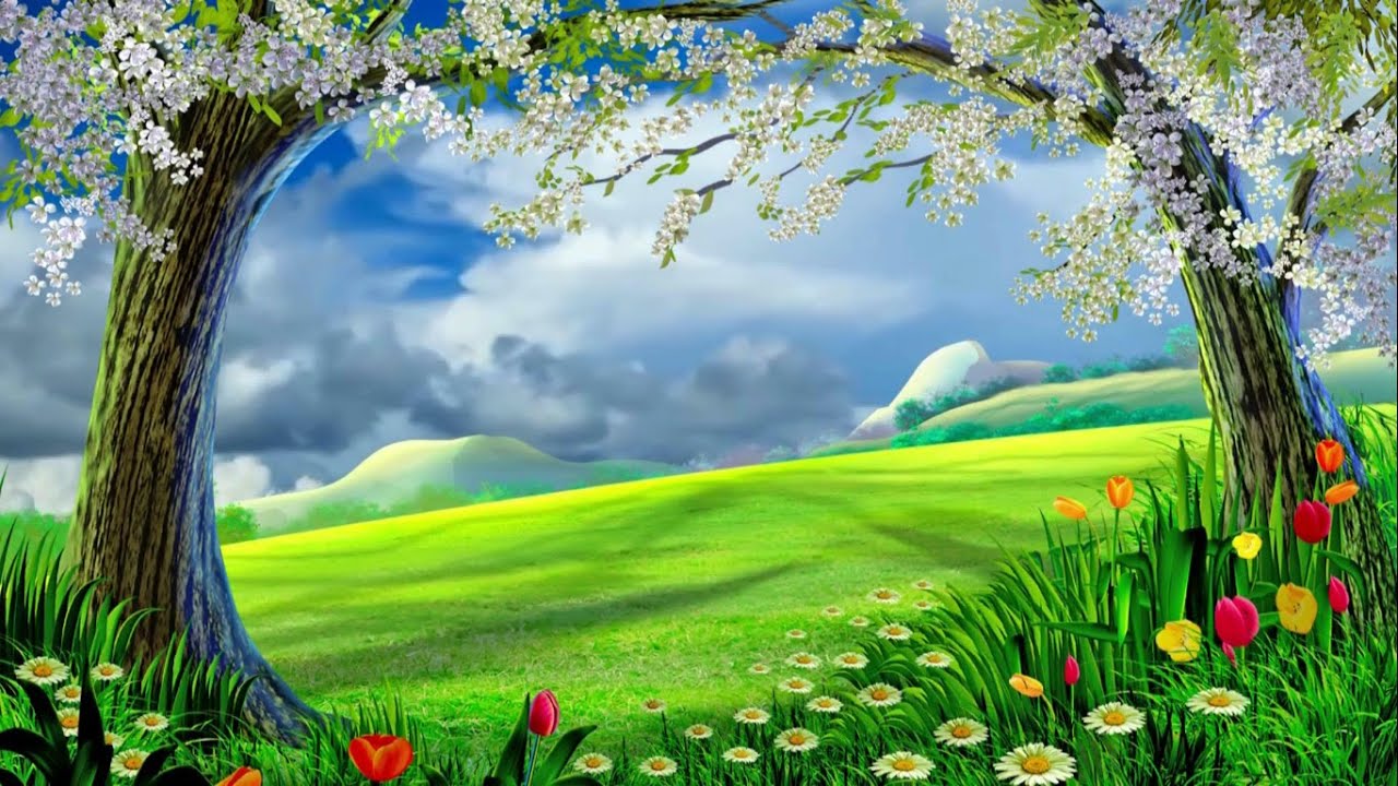 beautiful home zoom background