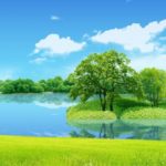 Top nature wallpaper full hd for mobile free download Download