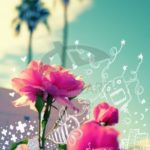 Top nice flower wallpaper for mobile 4k Download