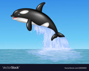 Download orca background HD