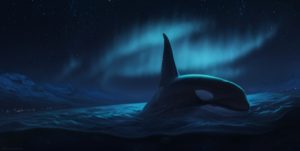 Top orca background HD Download