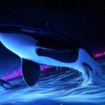 Top orca background HD Download
