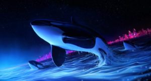 Top orca background HD Download