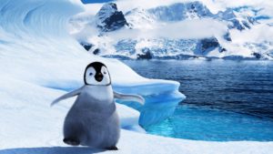 Download penguin wallpaper download HD