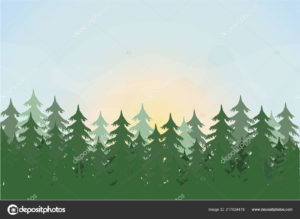 Download pine tree background HD