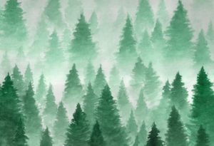 Download pine tree background HD