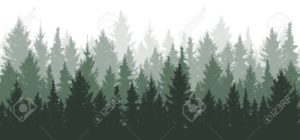 Download pine tree background HD