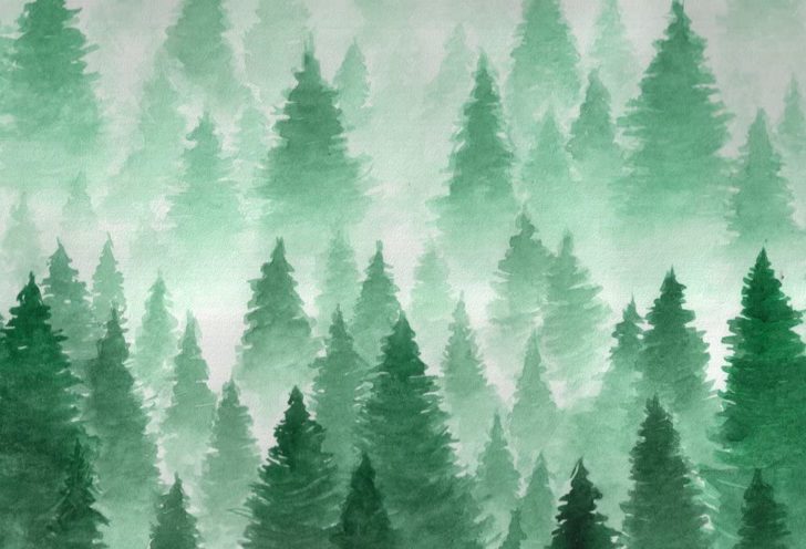 Collection : Top 29 pine tree background (HD Download)