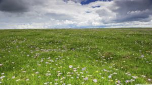 Top prairie wallpaper hd Download