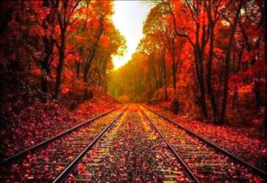 Top pretty fall wallpapers 4k Download