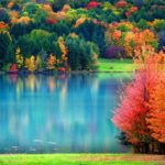 Top pretty fall wallpapers HD Download