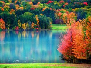 Top pretty fall wallpapers HD Download