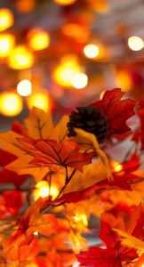 Download pretty fall wallpapers HD