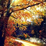 Top pretty fall wallpapers Download