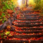 Top pretty fall wallpapers HD Download