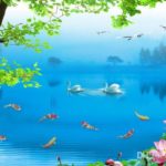 Top psd wallpaper background Download