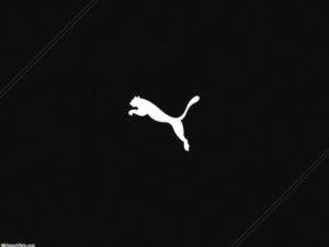 Top puma wallpaper Download